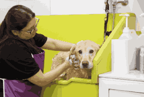 Cleaning3